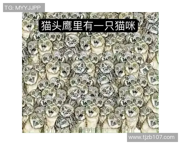 趣味挑战通过足球看图识球星测测你能认出多少位绿茵传奇