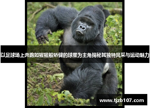 以足球场上奔跑如猩猩般矫健的球星为主角揭秘其独特风采与运动魅力