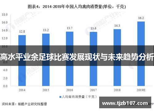高水平业余足球比赛发展现状与未来趋势分析
